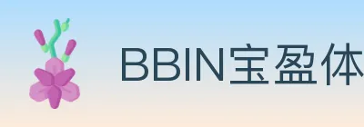 BBIN宝盈体育 logo
